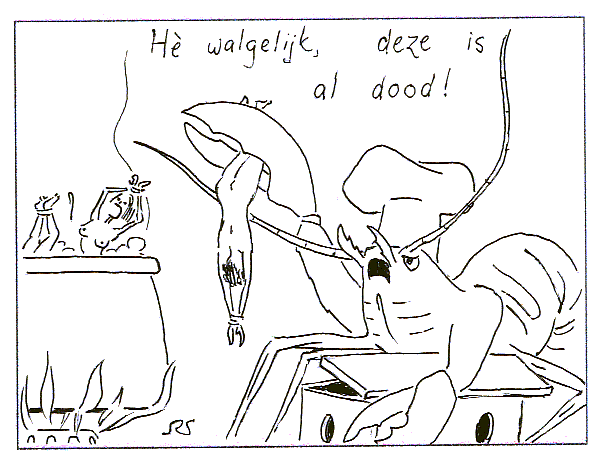 kreeft.gif